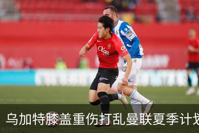 乌加特膝盖重伤打乱曼联夏季计划，FIFA 最高或赔付5857万元